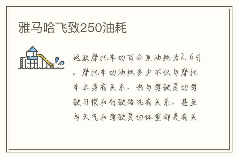 雅马哈飞致250油耗