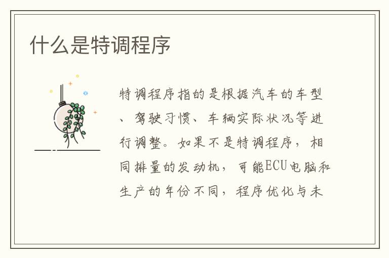 什么是特调程序