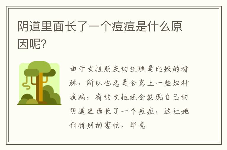 阴道里面长了一个痘痘是什么原因呢？