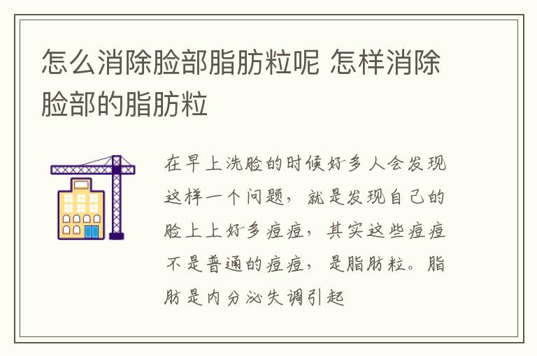 怎么消除脸部脂肪粒呢 怎样消除脸部的脂肪粒