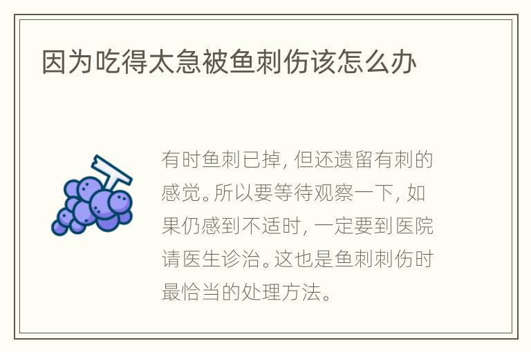 因为吃得太急被鱼刺伤该怎么办