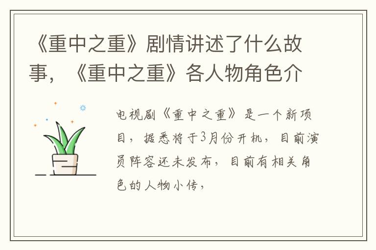《重中之重》剧情讲述了什么故事，《重中之重》各人物角色介绍